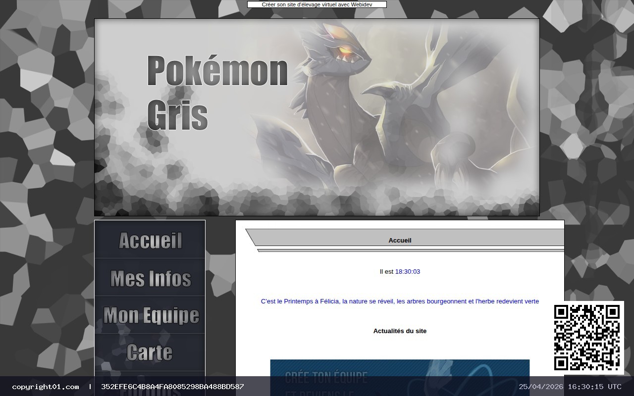Capture de http://www.webidev.com/pokemon-gris/