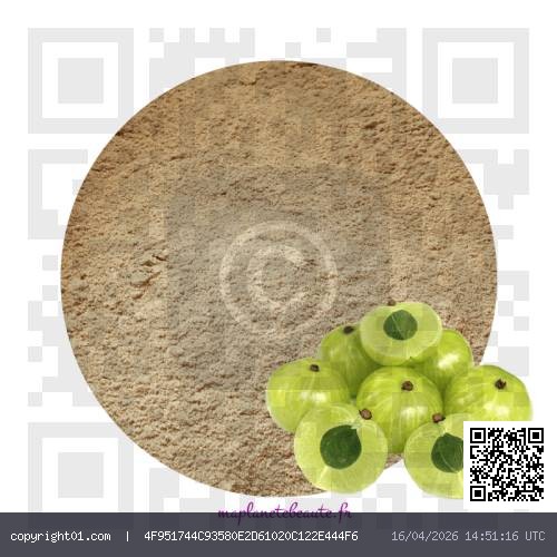 amla-bio-poudre.jpg
