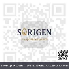 image.webp