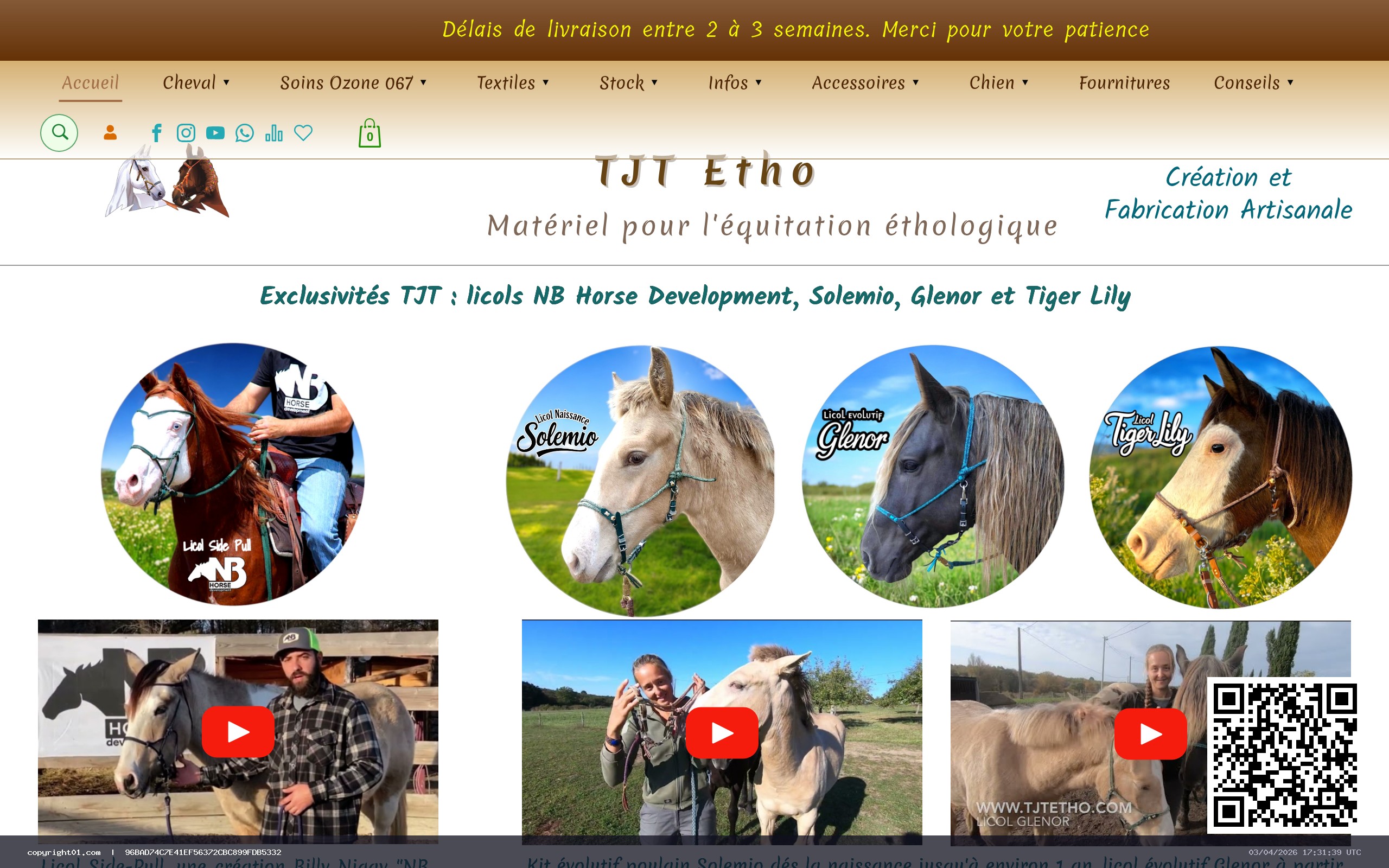 Capture de http://www.tjtetho.com