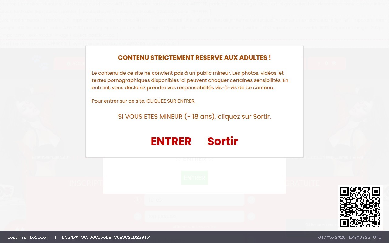 Capture de https://chat-cougar.fr