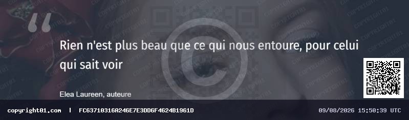 capture-d-cran-2024-07-18-145429-standard.png