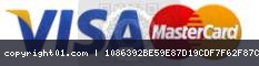 payment-logo.png