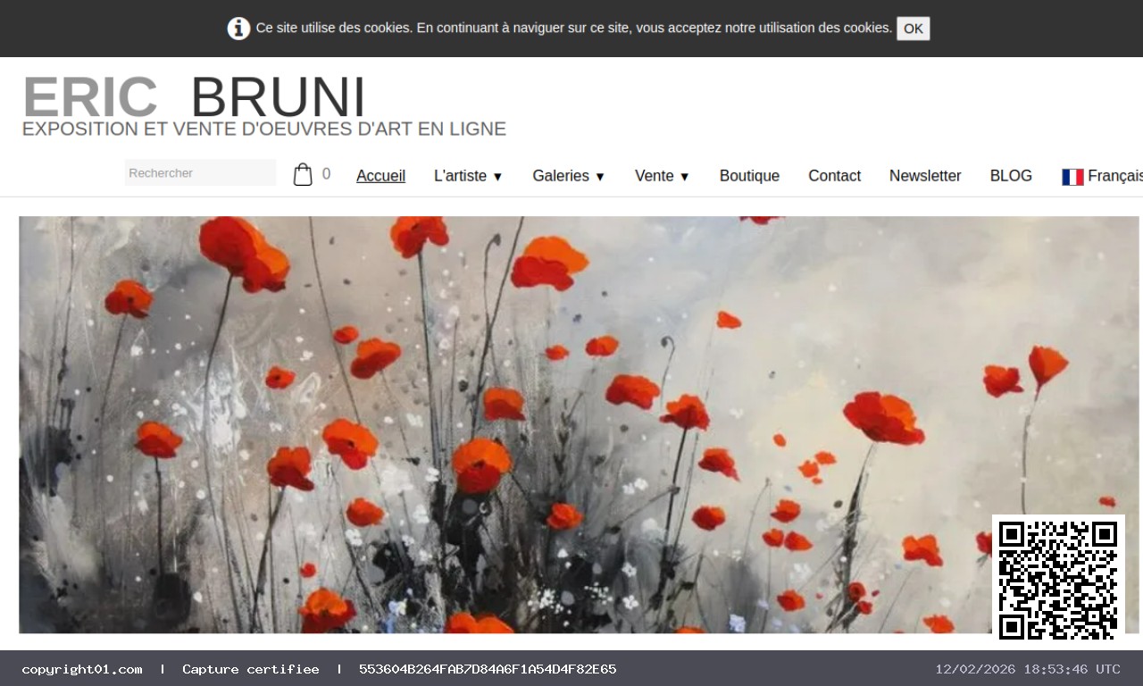 Screenshot of http://www.bruni-gallery.com