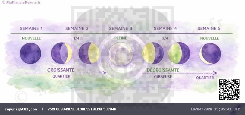 phases-lune-calendrier-lunaire-soins-cheveux.jpg
