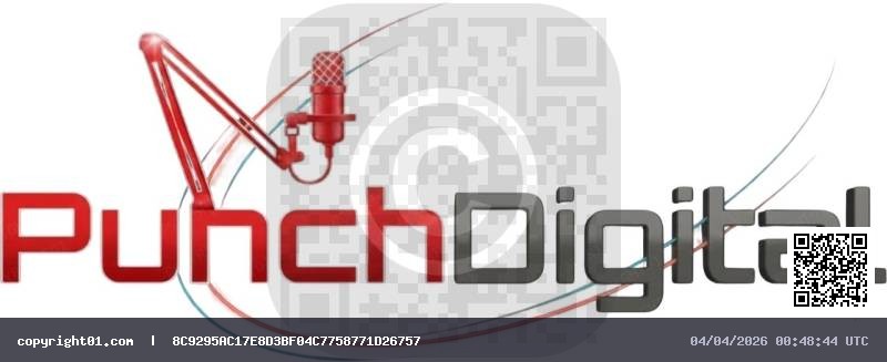 logo_punchdigital_dark.png