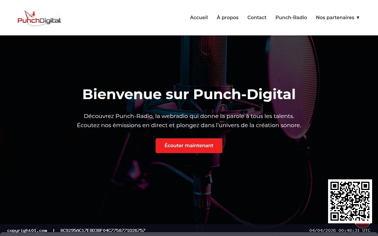 Screenshot of https://www.punch-digital.fr/