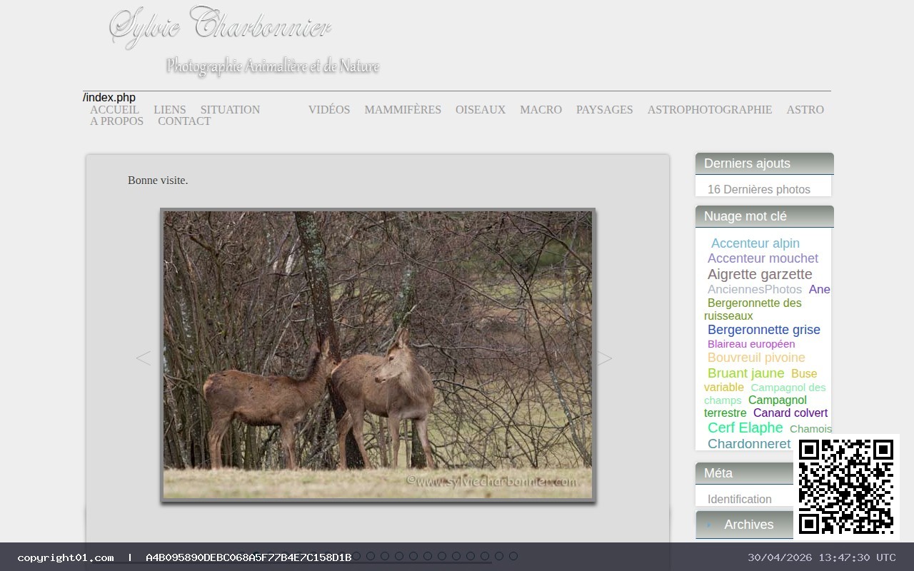 Screenshot of http://sylviecharbonnier.com