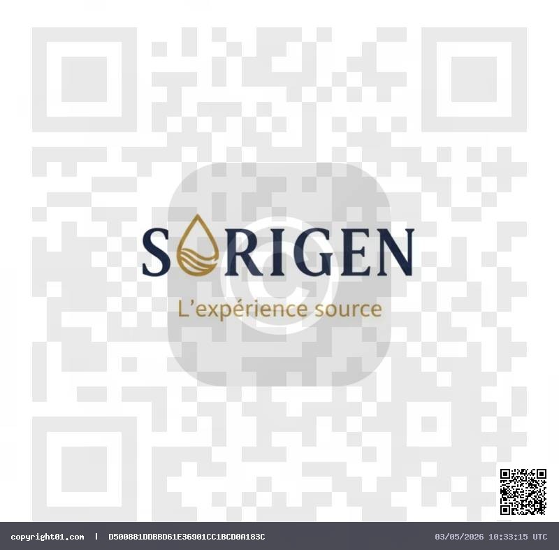 Sorigen