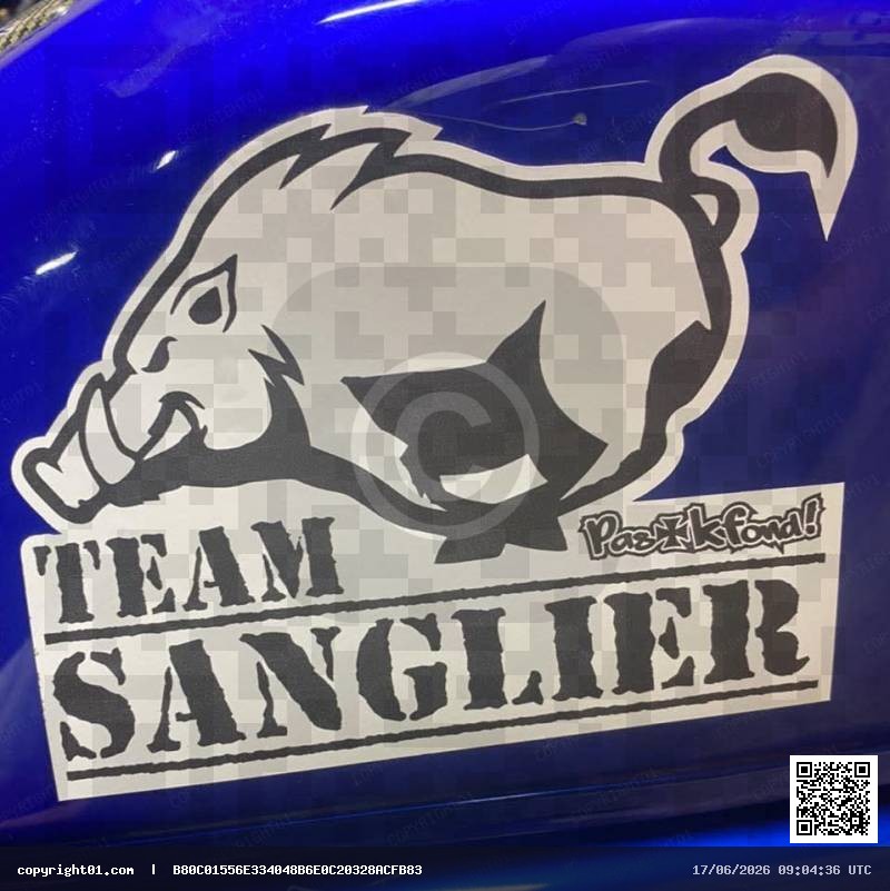 TEAM SANGLIER