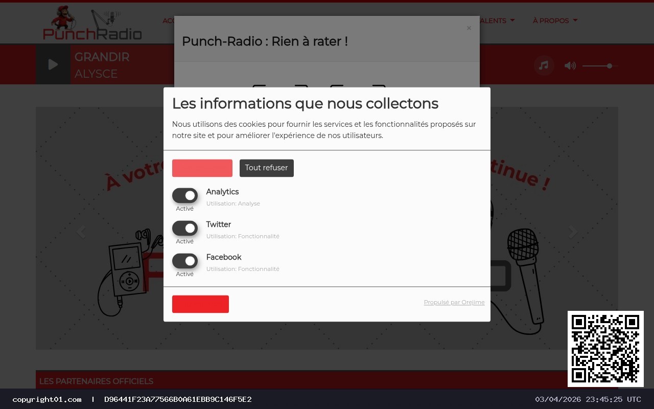 Captura de https://www.punch-radio.fr/